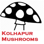 Mushroom Seeds