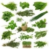 Raw Herbs