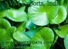 Centella Asiatica Exporters India