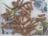 Offer Sarpagandha Roots(Rauwolfia serpentina)